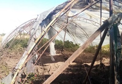 Обстріли Нікопольщини, лісова пожежа. Головні новини Дніпра та області 14 серпня