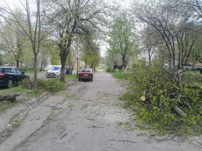 Знеструмлено понад 18 тисяч абонентів та повалені дерева: наслідки негоди на Рівненщині Знеструмлено понад 18 тисяч абонентів та повалені дерева: наслідки негоди на Рівненщині