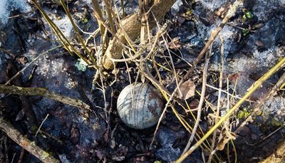 Так виглядають суббоєприпаси ракети Х-101, ззовні схожі на мʼячики Так виглядають суббоєприпаси ракети Х-101, ззовні схожі на мʼячики