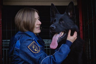 кінолог, німецька вівчарка кінолог, німецька вівчарка