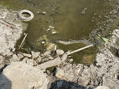 "Кернел" звинуватили у незаконному скиді нечистот до Пушкарівських ставків у Полтаві: яка реакція "Кернел" звинуватили у незаконному скиді нечистот до Пушкарівських ставків у Полтаві: яка реакція