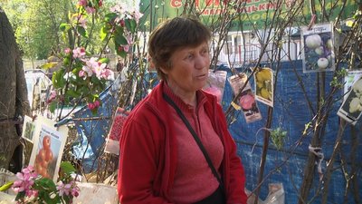 Підприємниця Тетяна Олексійчук зі знижками продає трирічні саджанці Підприємниця Тетяна Олексійчук зі знижками продає трирічні саджанці