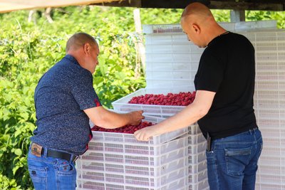 Олег Кудлай, Progress Berry Олег Кудлай, Progress Berry