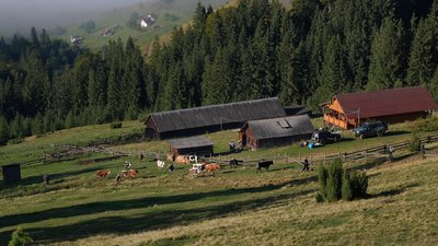 Полонина Діл, Карпати, Франківщина Полонина Діл, Карпати, Франківщина