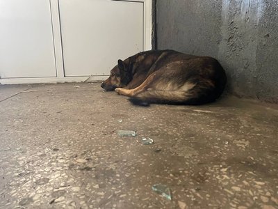 Чотири роки повномасштабної війни на Черкащині у світлинах Суспільного