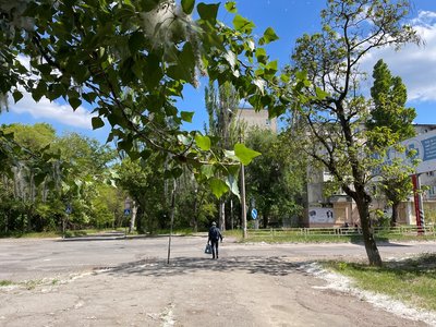 Сезонна алергія: що потрібно знати, як уберегтися та якою є ситуація в Херсоні Сезонна алергія: що потрібно знати, як уберегтися та якою є ситуація в Херсоні