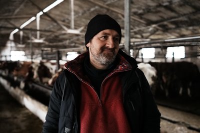 "Увімкнули генератор і доїмо": як працює молочнотоварна ферма у селі Хустянка на Сумщині