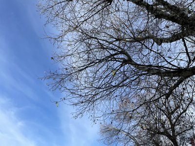 Херсон, погода, січень 2025 року, зима Херсон, погода, січень 2025 року, зима