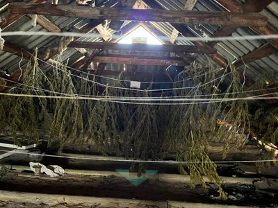У Києві викрили наркодилерів з "товаром" на 1 млн грн У Києві викрили наркодилерів з "товаром" на 1 млн грн