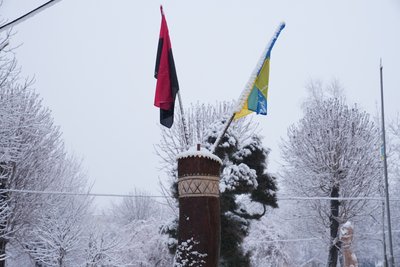 Прапор УПА, Державний прапор України Прапор УПА, Державний прапор України