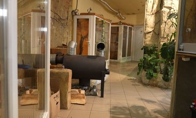 З дровами і генераторами: як працює черкаський зоопарк в умовах відключень світла З дровами і генераторами: як працює черкаський зоопарк в умовах відключень світла