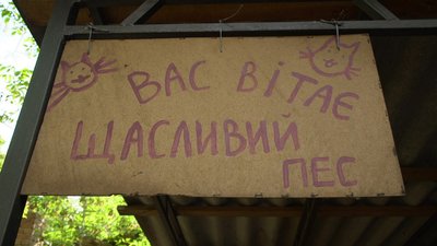 У кропивницькому притулку від сказу щеплять тварин: що таке сказ і чому важливо не пропускати вакцинацію