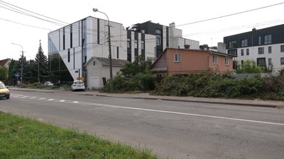 У Рівному будівельна компанія зрізала липи. Чи мала вона дозвіл та що про це кажуть жителі міста У Рівному будівельна компанія зрізала липи. Чи мала вона дозвіл та що про це кажуть жителі міста