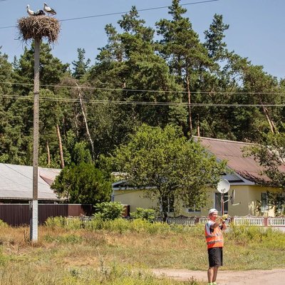 На Харківщині рахували лелек На Харківщині рахували лелек
