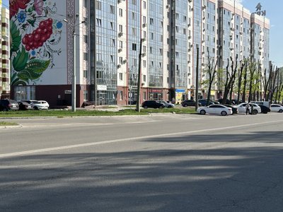 У селі на Полтавщині місцеві скаржаться, що працівники ЖКГ обрізали здорові дерева У селі на Полтавщині місцеві скаржаться, що працівники ЖКГ обрізали здорові дерева