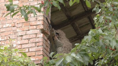У Вінниці провели штурмові навчання для курсантів ХНУВС У Вінниці провели штурмові навчання для курсантів ХНУВС