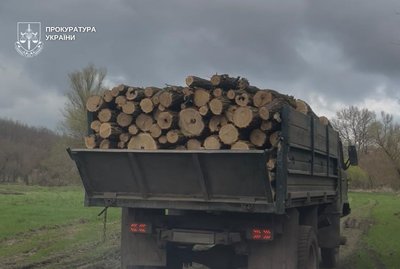 Майже три млн грн збитків: чотирьох жителів Дніпропетровщини підозрюють у незаконній вирубці дерев Майже три млн грн збитків: чотирьох жителів Дніпропетровщини підозрюють у незаконній вирубці дерев