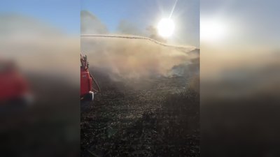 У Запорізькій області через обстріли РФ згоріло поле пшениці — ДСНС У Запорізькій області через обстріли РФ згоріло поле пшениці — ДСНС