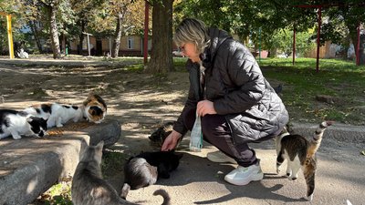 «Мене забрали на війну, прилаштуйте»: історії олександрійських котів, яких господарі залишили на вулицях «Мене забрали на війну, прилаштуйте»: історії олександрійських котів, яких господарі залишили на вулицях
