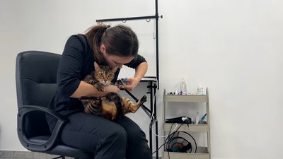 У місті на Рівненщині 21-річна грумерка за грантові кошти відкрила салон для тварин