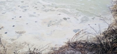 У Брусилові знову зафіксували скид нечистот – цього разу на городи місцевих жителів У Брусилові знову зафіксували скид нечистот – цього разу на городи місцевих жителів