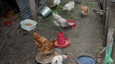 Історія 90-річної Уляни Стасюк із поліського селища на Рівненщині Історія 90-річної Уляни Стасюк із поліського селища на Рівненщині