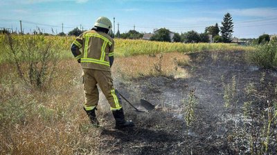 На Черкащині 1 вересня 25 разів горів сухостій На Черкащині 1 вересня 25 разів горів сухостій