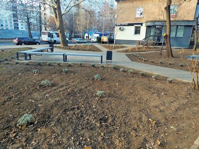 У Миколаєві студенти оновили сквер завдяки гранту У Миколаєві студенти оновили сквер завдяки гранту