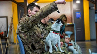 Коли слова зайві: історія про те, як у Житомирі собаки допомагають людям під час війни Коли слова зайві: історія про те, як у Житомирі собаки допомагають людям під час війни