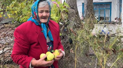 Як 83-річна пенсіонерка з Рівненщини запасає на зиму яблука та груші, зриваючи їх з високих дерев Як 83-річна пенсіонерка з Рівненщини запасає на зиму яблука та груші, зриваючи їх з високих дерев