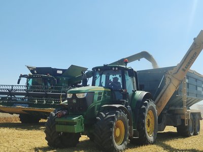На Тернопільщині завершують збір ранніх зернових культур, жнива На Тернопільщині завершують збір ранніх зернових культур, жнива