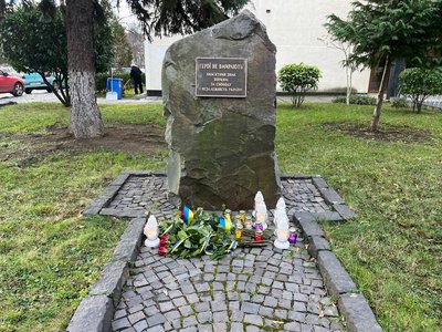 11 річницю Дня Гідності й Свободи відзначили в Ужгороді 11 річницю Дня Гідності й Свободи відзначили в Ужгороді
