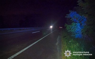 ДТП поблизу Полтави: водійка збила пішохода, його собака загинула ДТП поблизу Полтави: водійка збила пішохода, його собака загинула