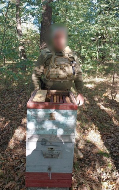 Бджоли знешкодили замінований вулик на Київщині Бджоли знешкодили замінований вулик на Київщині