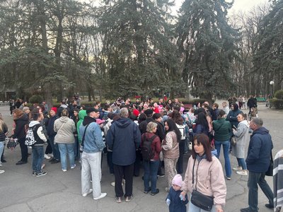 У Вінниці випустили на волю понад сотню кажанів, врятованих волонтерами протягом зими У Вінниці випустили на волю понад сотню кажанів, врятованих волонтерами протягом зими