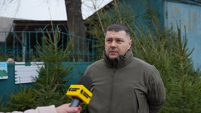 Де на Сумщині придбати ялинку та які ціни Де на Сумщині придбати ялинку та які ціни