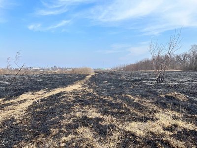 Палають поля й ліси: на Черкащині зросла кількість пожеж в екосистемах Палають поля й ліси: на Черкащині зросла кількість пожеж в екосистемах