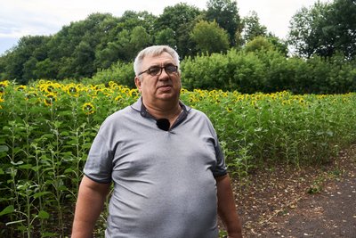 «Такого ще не було»: у Недригайлівській громаді розслідують масовий мор бджіл «Такого ще не було»: у Недригайлівській громаді розслідують масовий мор бджіл
