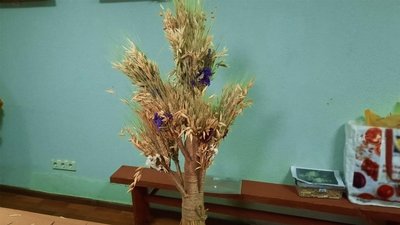 Символи Різдва: майстриня з Кіровоградщини в'яже дідухи та інші обереги Символи Різдва: майстриня з Кіровоградщини в'яже дідухи та інші обереги