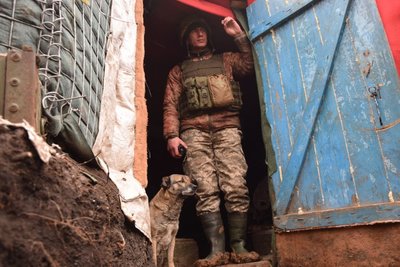 Воюють разом з нами: воїни 30 бригади з Житомирщини показали своїх фронтових тварин Воюють разом з нами: воїни 30 бригади з Житомирщини показали своїх фронтових тварин