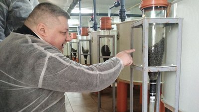 На Кіровоградщині розташована єдина в Україні працююча осетрова ферма На Кіровоградщині розташована єдина в Україні працююча осетрова ферма