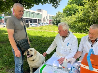 У Луцьку почали безплатно щеплювати котів та собак У Луцьку почали безплатно щеплювати котів та собак