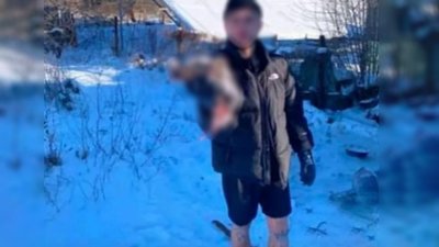 Визнає провину: на Кіровоградщині підозрюваного у вбивстві собаки продовжать тримати під вартою Визнає провину: на Кіровоградщині підозрюваного у вбивстві собаки продовжать тримати під вартою