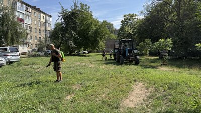 У Полтаві почали обробляти амброзію: в яких мікрорайонах У Полтаві почали обробляти амброзію: в яких мікрорайонах