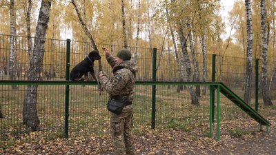 Собака на службі: у кінологічному підрозділі Нацгвардії у Чернігові з`явилися нові цуценят Собака на службі: у кінологічному підрозділі Нацгвардії у Чернігові з`явилися нові цуценят