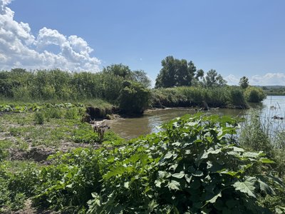 "До найближчої хати 30 метрів": на Полтавщині водосховище руйнує берег "До найближчої хати 30 метрів": на Полтавщині водосховище руйнує берег