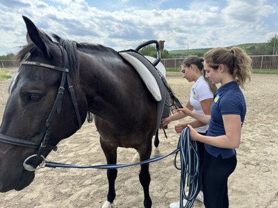 Єдина в Україні команда з вольтижування повернулась до Полтави з Чемпіонату світу Єдина в Україні команда з вольтижування повернулась до Полтави з Чемпіонату світу