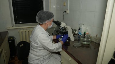 33 з 176 кліщів, яких зібрали в Кропивницькому, виявилися інфікованими хворобою Лайма 33 з 176 кліщів, яких зібрали в Кропивницькому, виявилися інфікованими хворобою Лайма