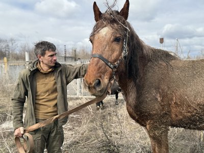 Евакуація, активність ДРГ та щоденні удари. Головні новини Сумщини: онлайн Евакуація, активність ДРГ та щоденні удари. Головні новини Сумщини: онлайн