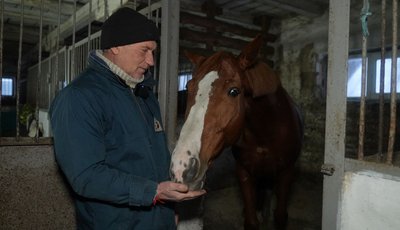 "Поганих людей коні не терплять": про символ 2026 року "Поганих людей коні не терплять": про символ 2026 року